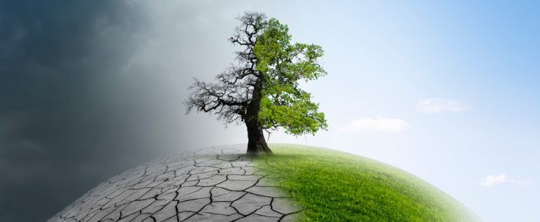 Innowacje nie rozwiążą całkowicie problemu postępujących zmian klimatycznych
