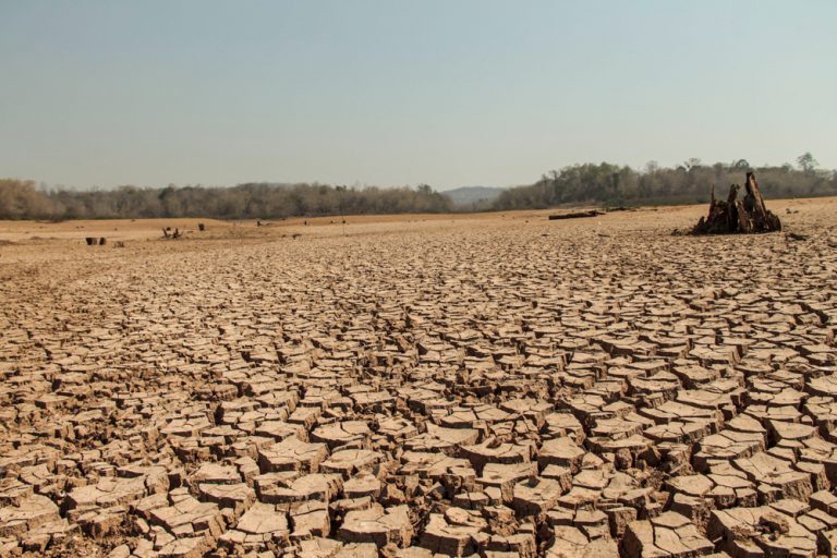 Pandemia i wojna zepchnęły zmiany klimatu na drugi plan