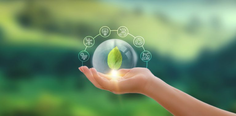 Sektor bankowy wspiera zieloną transformację