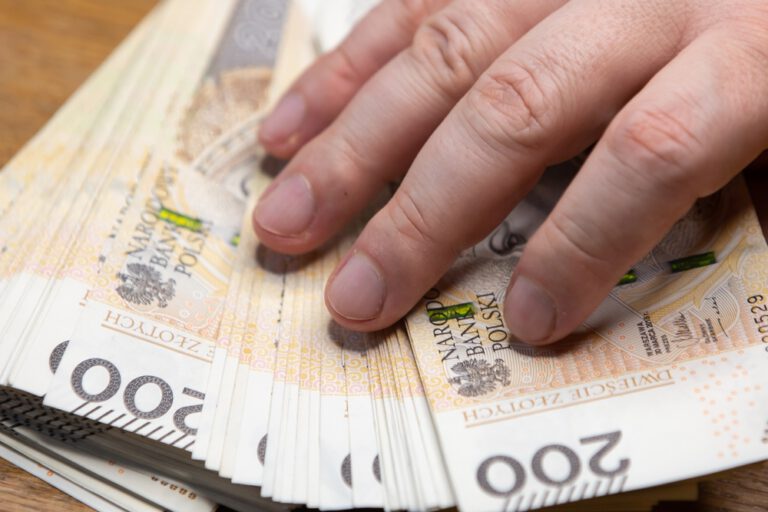 <strong>Projekty z programu grantowego PSE wzmocnią Śląsk</strong>