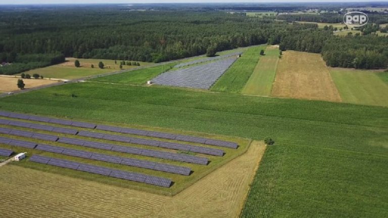 Inżynieria nie zastąpi bogactwa środowiska