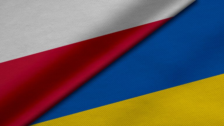 Stanowisko Polsko-Ukraińskiej Izby Gospodarczej 