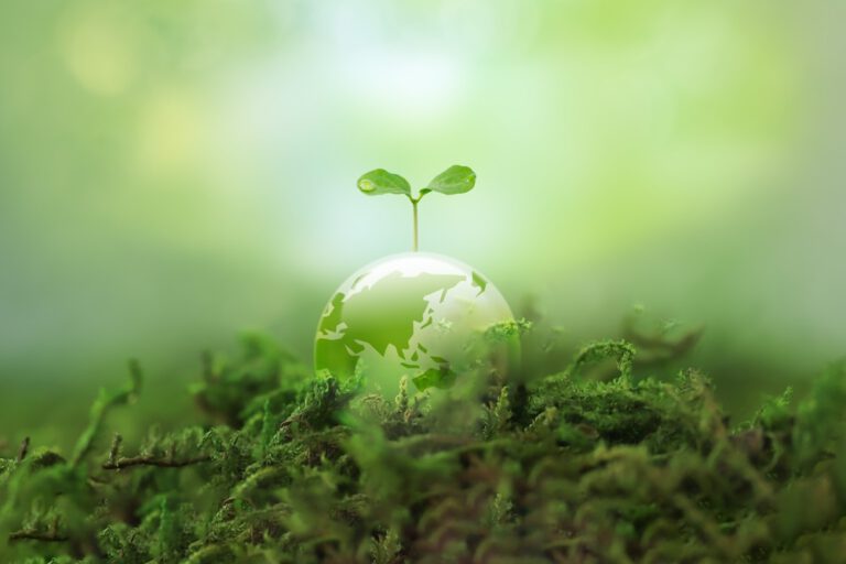 Ku przyszłości – zbliża się Szczyt Klimatyczny TOGETAIR 2024