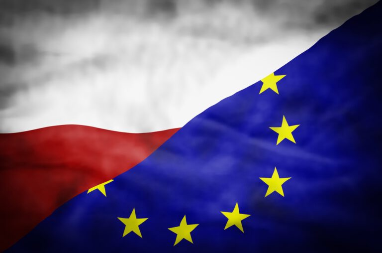 Bezpieczeństwo, Europo! Priorytety polskiej prezydencji