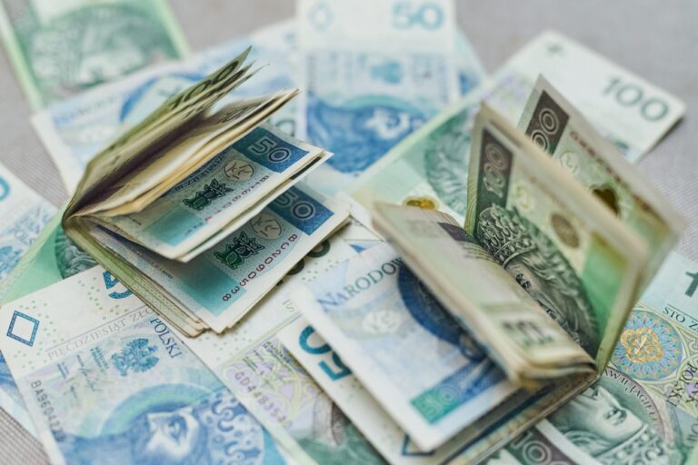Unijne wsparcie na wyciągnięcie ręki 