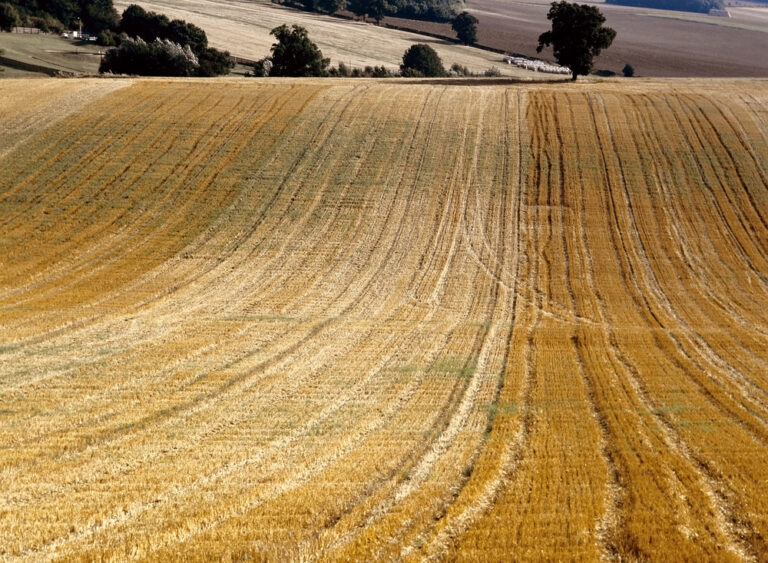 Prace nad uproszczeniami we wspólnej polityce rolnej