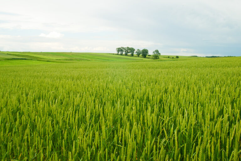 Nowe przepisy dają rolnikom większą ochronę przed egzekucją majątku